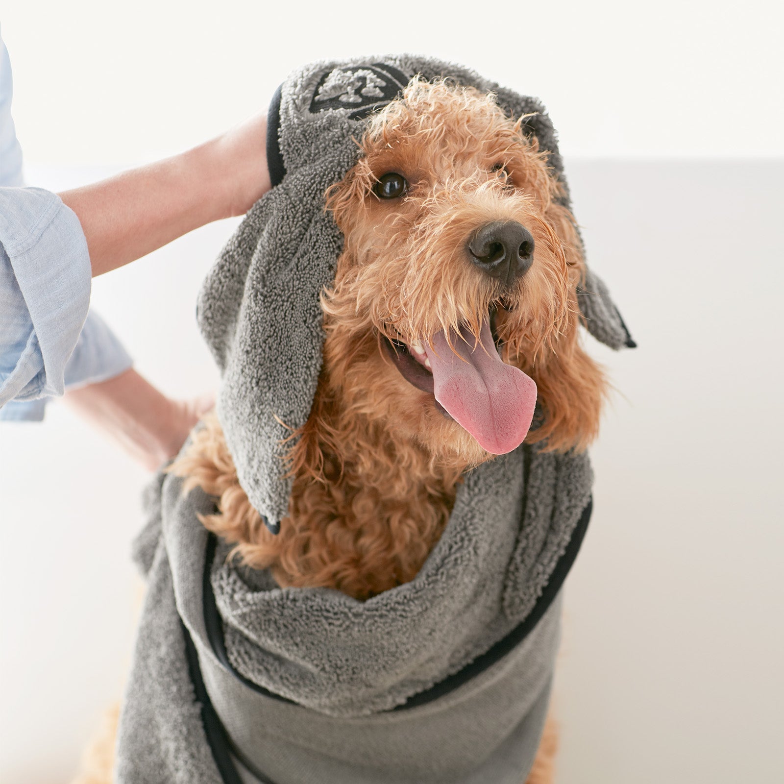 Norwex on sale dog towel