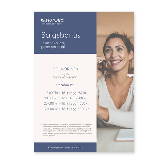 Salgsbonus - A4 PDF